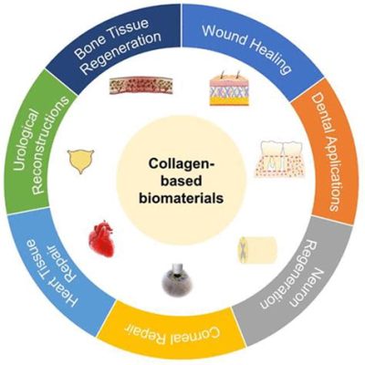  Collagen – Versatility und Biokompatibilität für innovative medizinische Anwendungen!