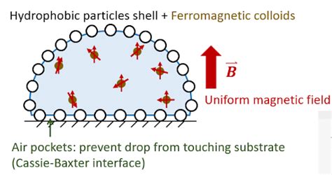  Ferrofluide: Hochkomplexe Nanofluidik für die Präzise Steuerung Magnetischer Felder!